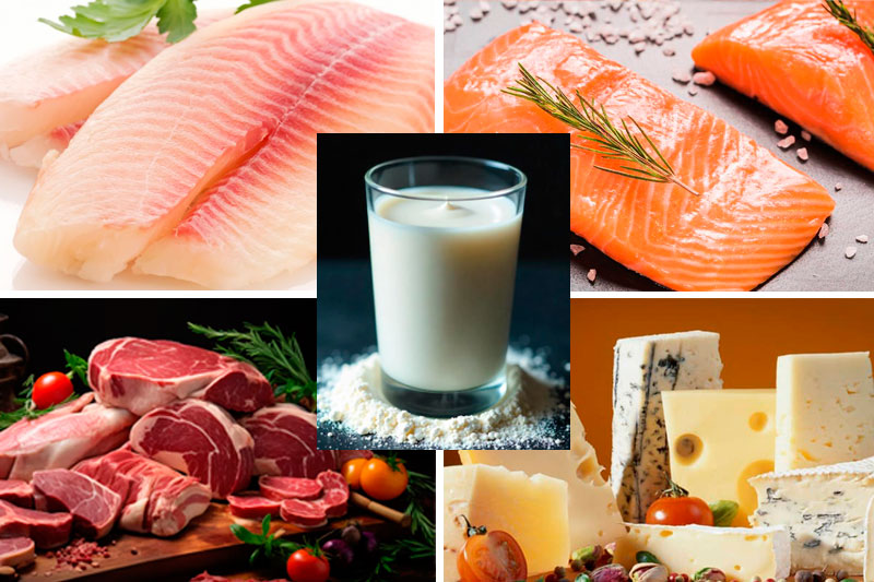 Consultoría para exportación de leche, productos lácteos, pescado, carne a Brasil