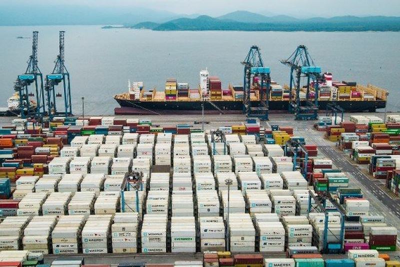 Consultoría para exportación de leche, productos lácteos, pescado, carne a Brasil